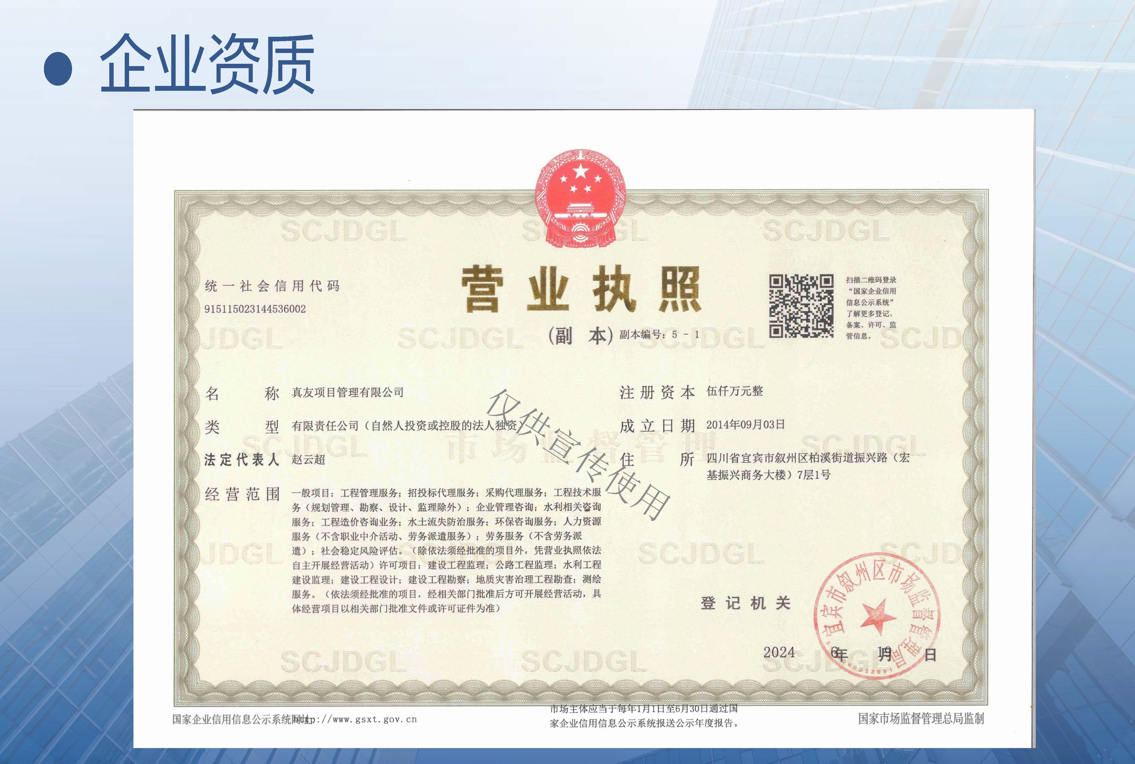 真友项目管理有限公司简介._页面_11.jpg