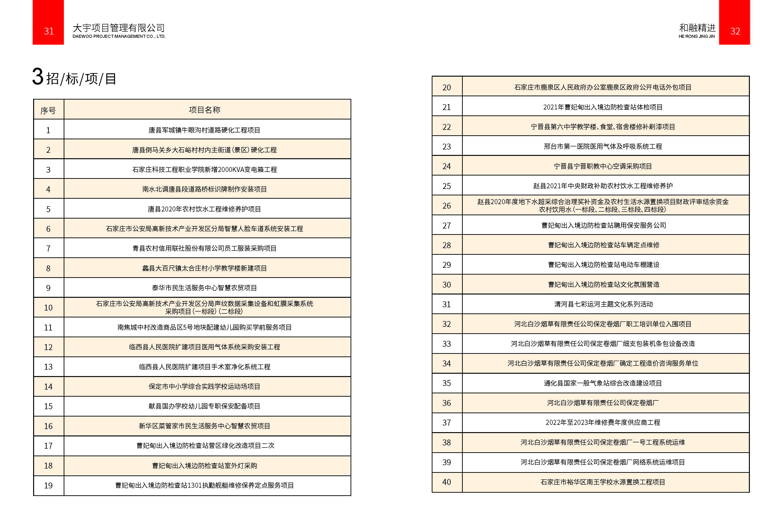 大宇项目管理咨询有限公司_页面_18.jpg