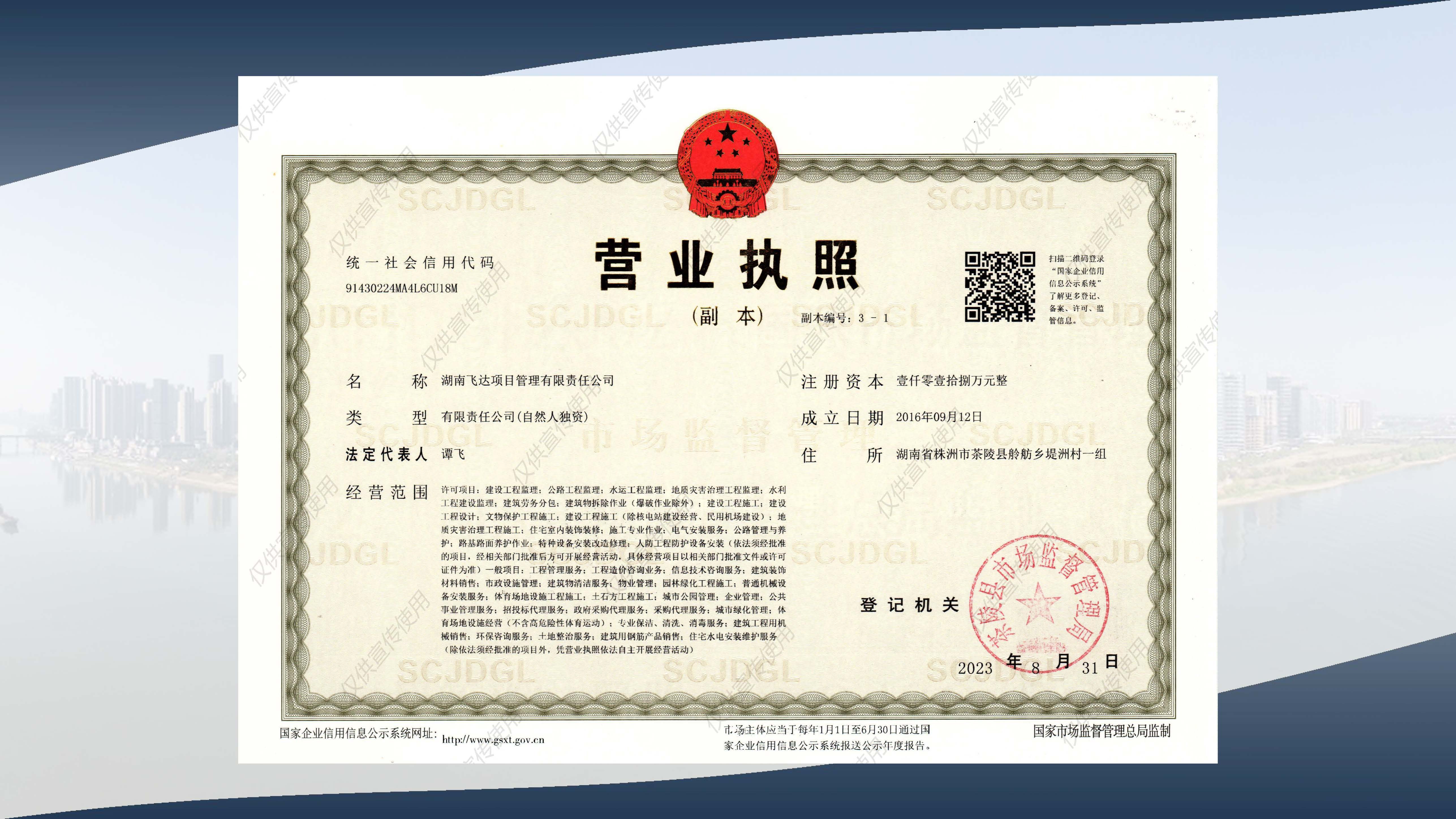 湖南飞达项目管理有限责任公司宣传册_页面_11.jpg