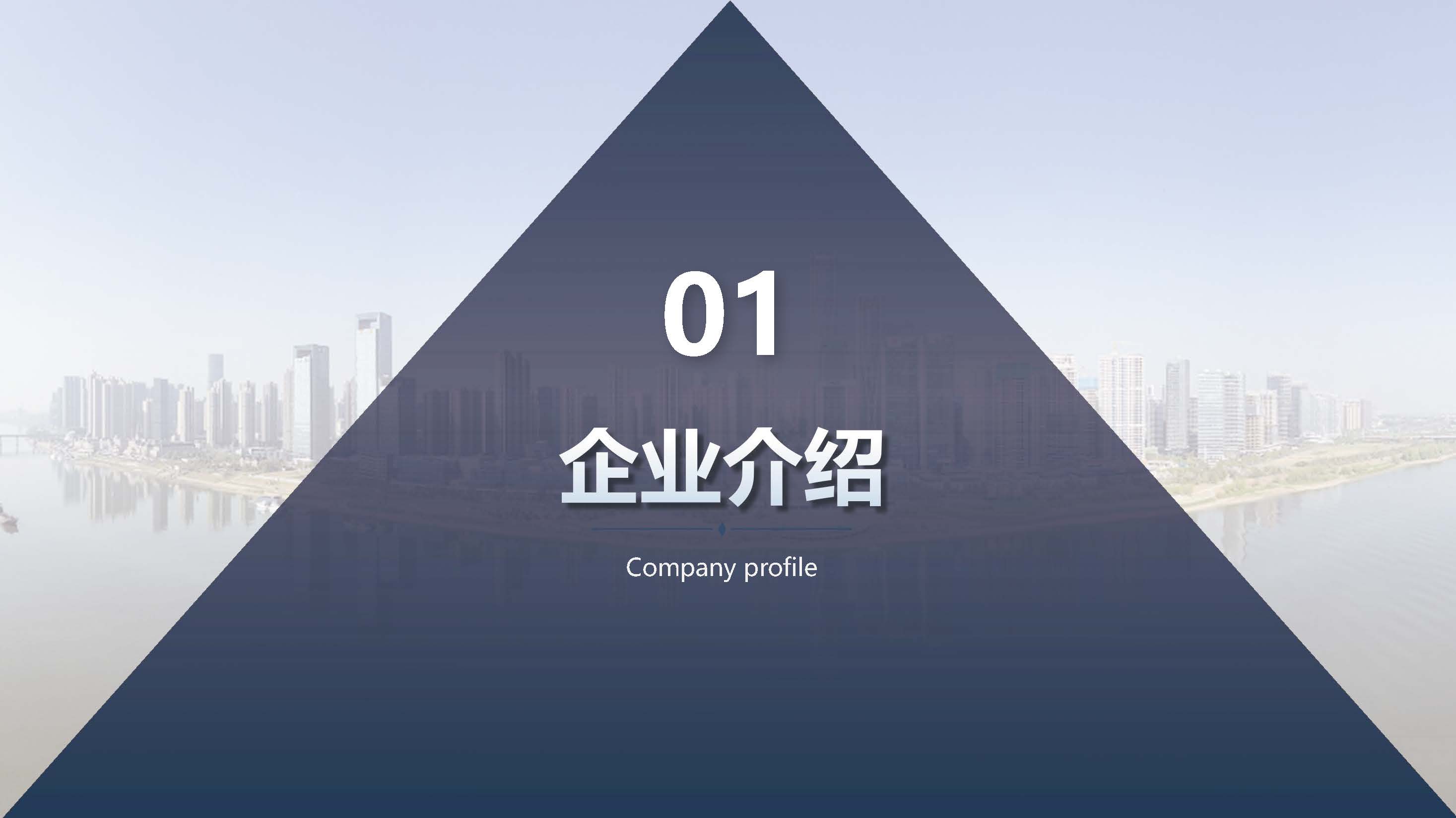 湖南飞达项目管理有限责任公司宣传册_页面_03.jpg