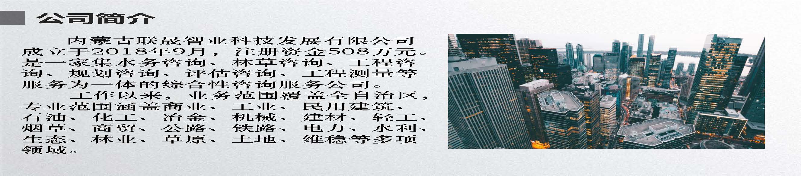 联晟智业宣传册_页面_03.jpg